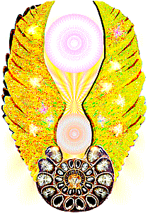 Shimmerig Wings animated logo