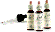 Bach flower Remedy Bottles