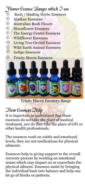 Maria Doherty's Trinity Haven Essences range