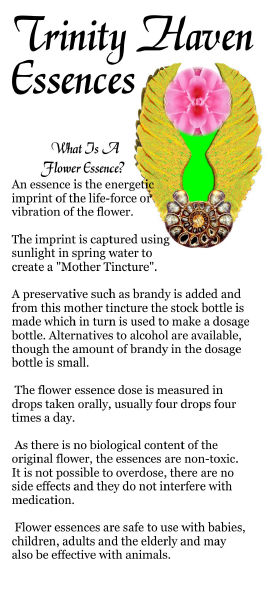 Trinity Haven Flower & Vibrational Essences